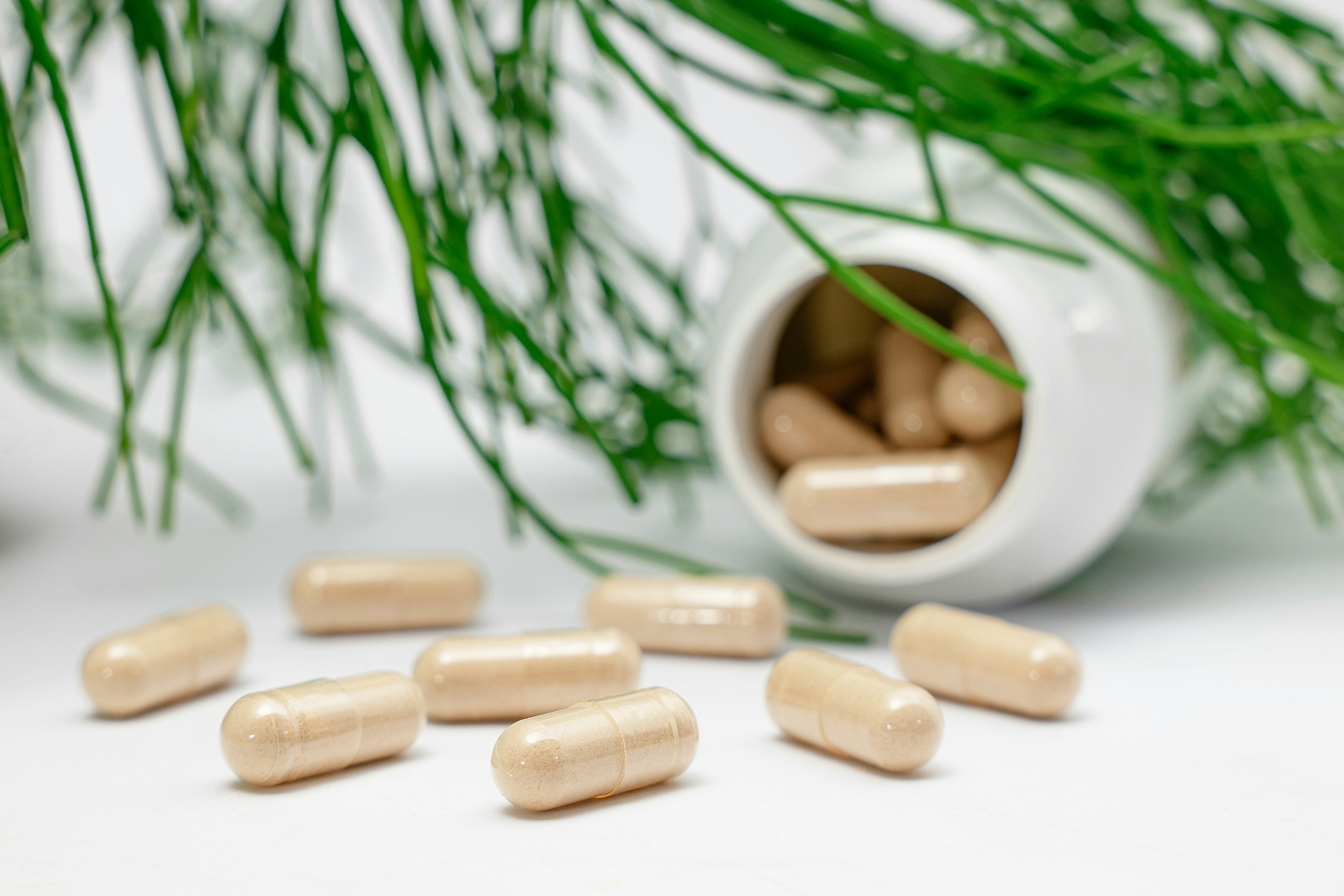 Health & Wellness Supplement Brand — Supplements